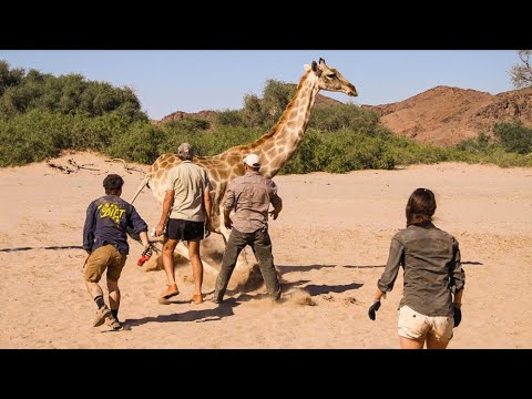 Namibia Conservation Webinar | Jason Nott - Wilderness Travel