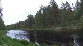 Ссылка