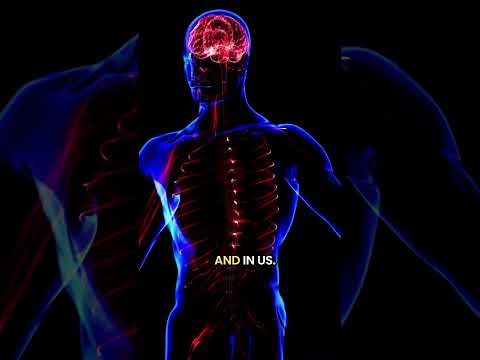 Depletion of Copper Due to Glyphosate