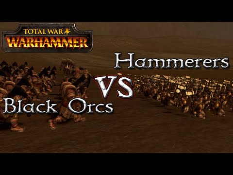 Black Orcs vs Hammerers - Total War: Warhammer - 1v1 Unit Battles
