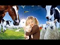 Charlotte's Web Full Audiobook