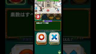 【QMAリウム】むらいーもとシャロンと優雅な御学友動画part0xx