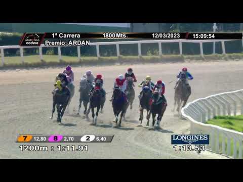 230312 c01 PIEDRA MORA STORM