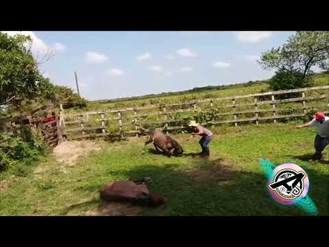 Renso Caraballo - El que no conozca al llano