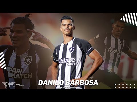Danilo Barbosa  - Botafogo - Highlights