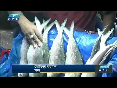 ১ কেজি ইলিশের দাম ১৭শ’ টাকা