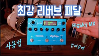 Strymon BIGSKY MX (빅스카이 mx) 리뷰 / 사용법
