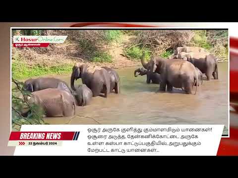 ஓசூர் அருகே குளித்து கும்மாளமிடும் யானைகள்!