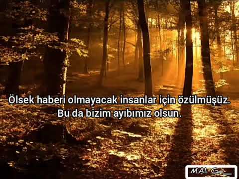 Grup Demsal-Dereve fon müziği klip acılı sözler.