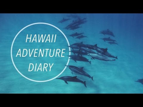 HAWAII ADVENTURE DIARY | Michelle Kanemitsu Video