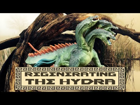 Regenerating the Hydra | Miniature Painting | Nameless Seraphim Gaming