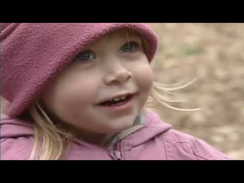 Teletubbies - Walking In The Woods (Playhouse Disney Version 2002)