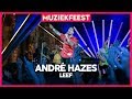 André Hazes - Leef (live met the André Hazes Band) | Muziekfeest op het Plein 2019