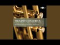 Tafelmusik Conclusion for Trumpet, Oboe, Strings & B.C.: Allegro - Adagio - Allegro