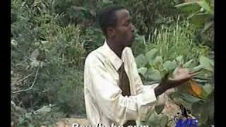 Mohamed Abdirahman