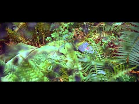 Wes Anderson's 'Star Wars'