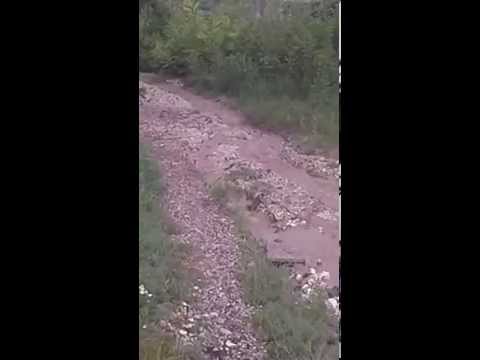 Pécel Boncsok utca 2014 08 06