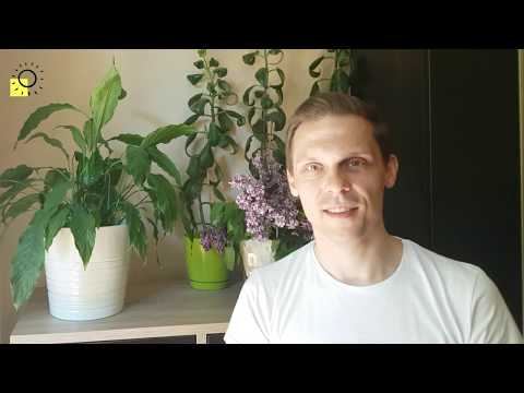 Obrazek poglądowy filmu YouTube