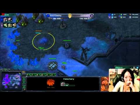 ROOTDestiny (Z) vs CombatEX (P) hilarious smack talk