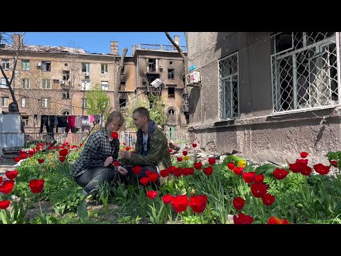 Хаски - Живая вода