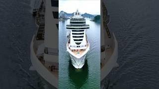 MSC SEAVIEW  cruise cruzeiro navio transatlantico santos brasil @cruzeiros2025  2025  #shorts