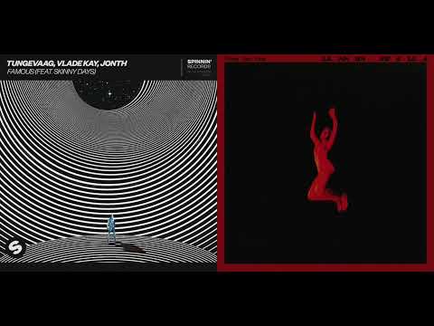 Famous People (Tungevaag vs. Lennon Stella) [Day 5 - 12 Days of Mashmas]