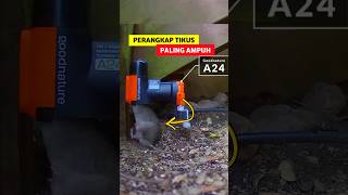 Download lagu Alat Pembasmi Tikus Moderen mp3