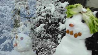 Ach bittrer Winter  (trad.) - text in the description - songbird