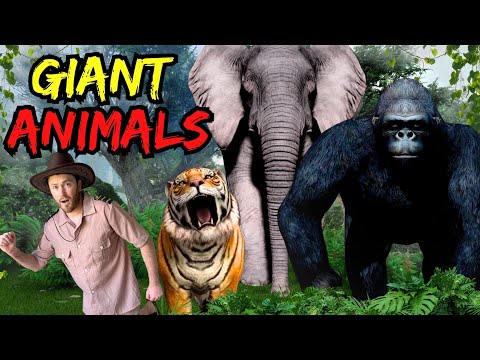 Giant Animal Adventure with Explorer Riley | Interactive Stories for Kids | Kids Adventure Stories
