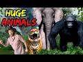 Giant Animal Adventure With Explorer Riley Interactive Stories For Kids Kids Adventure Stories