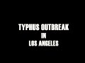 Los Angeles in A Time of Typhus