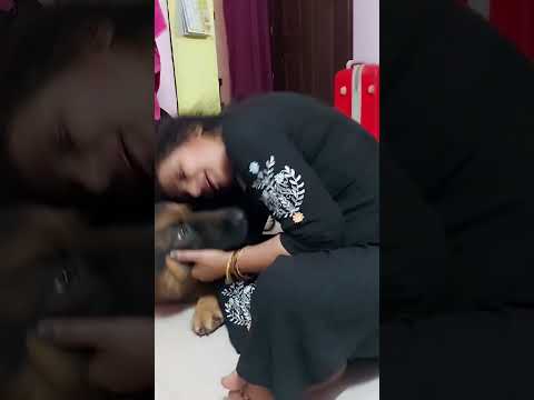 Every Indian Mom who doesn't Want A Dog ..|| #doglover #neelu #gsd #chimmy fun with chimmy and neelu