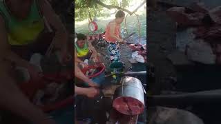 Maghapong nag palang ng isda /paghiwa