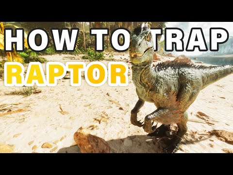How to Trap AND Tame a Raptor ► Ark Survival Ascended