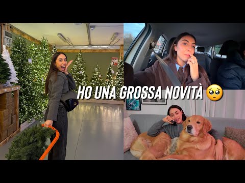 SHOPPING NATALIZIO + AGGIORNAMENTI IMPORTANTI 🥵 vlog 