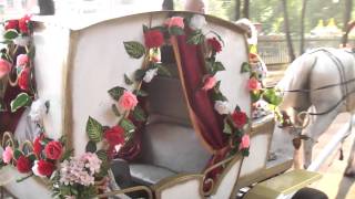 preview picture of video 'Carriage Ride in Rybinsk'