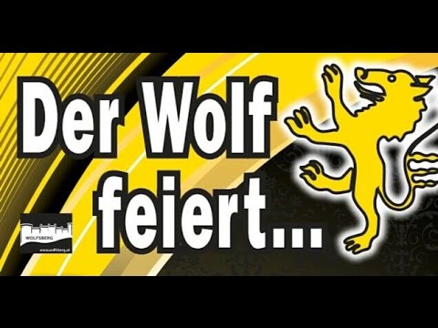 Stadtfest Wolfsberg 2013 " Der Wolf feiert "