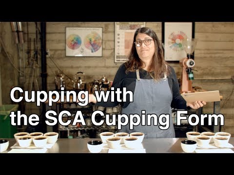 Cupping coffee with the SCA form