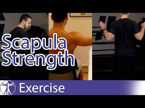 Scapula Strengthening Exercises | Early Shoulder Rehab