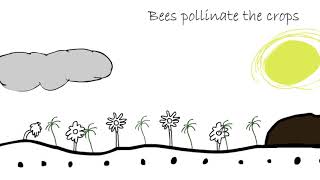 Biodynamic Farming