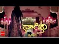 Naagini serial title song in telugu