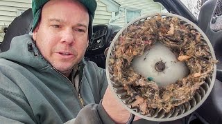 BLOWER NOISE IN CAR OR TRUCK