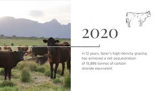 WWF Conservation Champions: Spier Carbon Journey - 2007 to 2022