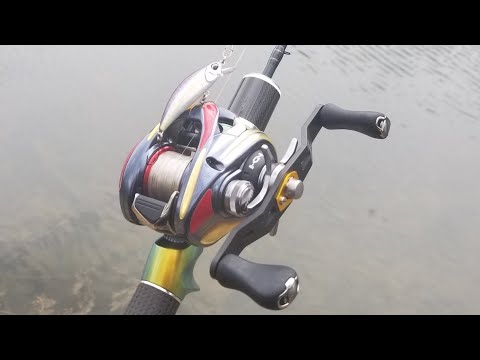 Converted a 2018 Shimano Aldebaran Mgl 30 into a BFS reel to catch Shad using Spearhead Ryuki 50s