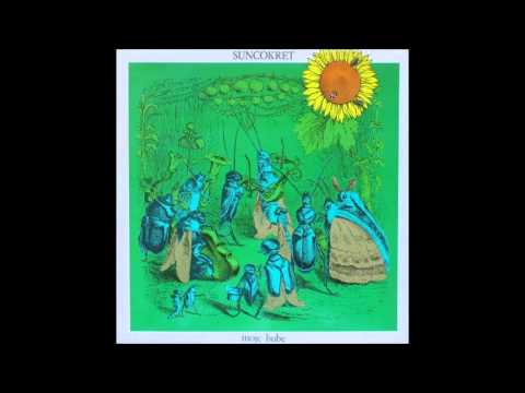 Suncokret - Prvi sneg