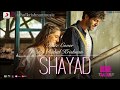 Shayad Flute Cover Audio Love Aaj Kal Arijit Singh Pritam Kartik Sara