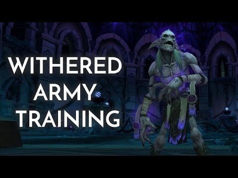 Withered Army Training with 100% Clear and finish with 45 withered
