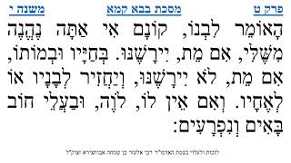 מסכת בבא קמא פרק ט משנה י