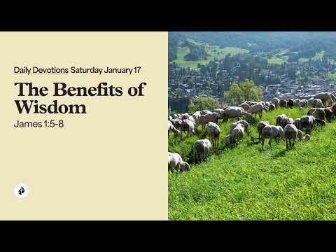 The Benefits of Wisdom – Daily Devotional
