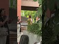 Ketika Ngeliat Aura Kasih Aurakasih